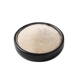 Premium Sodium Alginate for Food, Cosmetic, and Industrial Use