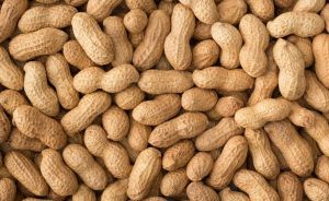 Groundnut, Packaging Size : 25-50kg, Packaging Type : Plastic Bag