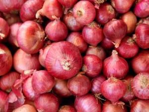Fresh Red Onion