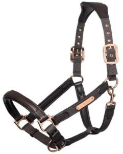 Premium Padded Nylon Halter with Rose Gold Hardware
