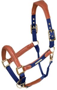 Two Tone Padded Horse Halter