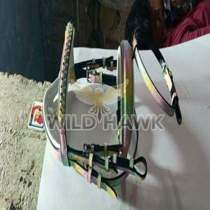 Horse Bridle