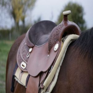 Western Style Horse Saddle