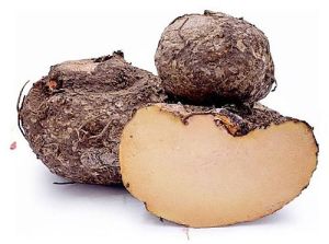 A Grade Elephant Yam, Packaging Type : 20 Ft. Non Reefer Container.