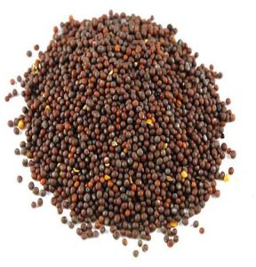 Organic Brown Mustard Seeds
