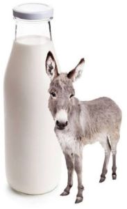 Fresh Donkey Milk, Color : White, Form : Liquid, Purity : 99.9%