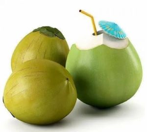 A Grade Green Tender Coconut