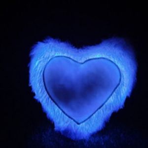 Heart Shape Blue Fur Photo Printed Sublimation LED Cushion