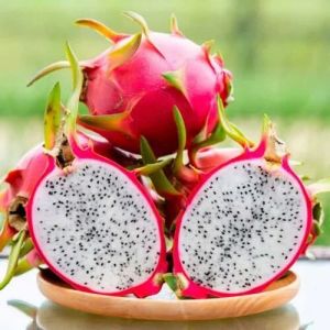 Organic Fresh Dragon Fruit, Packaging Size : 25-50kg