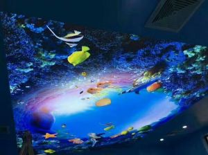 3D Aqua Stretch Ceiling