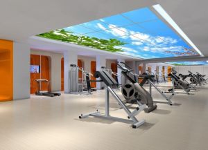 Textile Commercial Stretch Ceiling