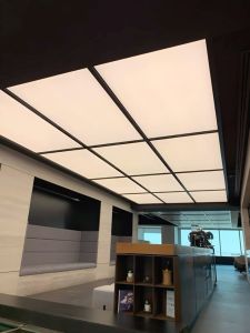 Tranding Viral Stretch Ceiling