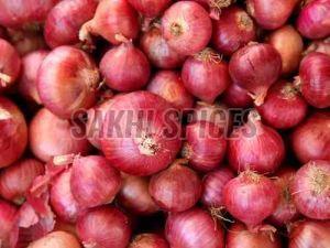 Fresh Red Onion, Packaging Type : Loose/bulk