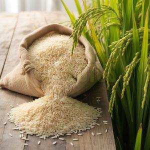 Creamy Long Grain 1509 Steam Sella Basmati Rice for Cooking