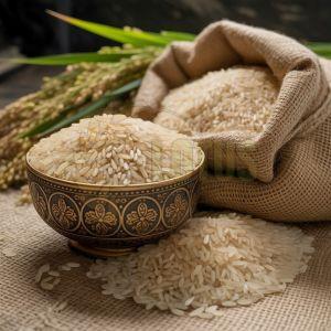IR 64 5% Broken Silky Sortex Raw Rice