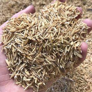 Rice Husk, Moisture : 5% for Animal Feed