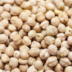 Hard Organic White Chickpeas for Cooking