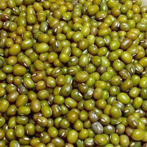 Hard Organic Whole Green Moong Dal, Certification : FSSAI Certified