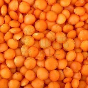 Hard Organic Whole Red Masoor Dal, Certification : FSSAI Certified