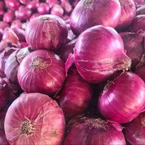 Fresh Red Onion, Packaging Size : 25-50kg Gunny Bag for Cooking