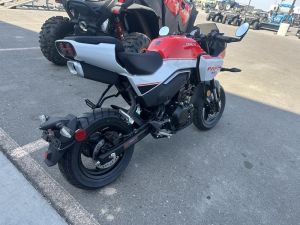 2025 Cfmoto Papio SS Atv Motorcycle