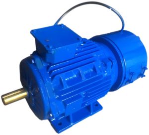 Brake Motor