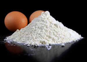 Egg White Powder