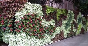 Vertical Garden Wall