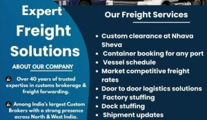 Custom Clearance Services