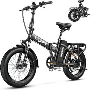 1000W Folding Electric Bike, 48V 20AH Large Removable Batter