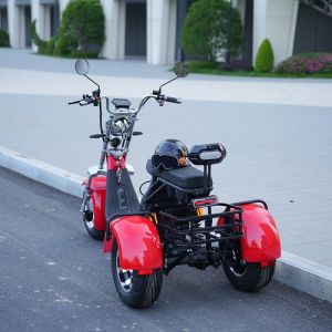 y20 Model Long Rang Fat Tire 3 Wheel Trike Electric Scooter