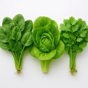 Organic Leafy Vegetable Seeds, Seed Type : Natural