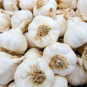 Organic Fresh White Garlic, Packaging Type : Net Bags for Cooking