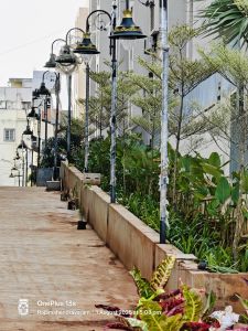 Landscape Architecture