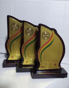 MDF Wooden Trophy