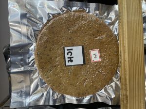 Natural Moong Khakhra, Packaging Size : 200 Gm For Human Consumption