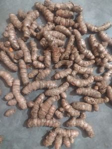 fresh turmeric