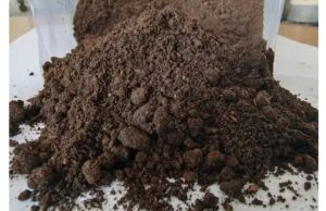 cow dung powder