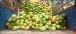 Tender Coconut Water