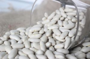 Organic Egyptian White Kidney Beans (Phaseolus Vulgaris)