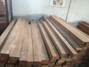 Teak Wood