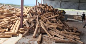 Polished Plywood Core, Color : Brown Multisize for Furniture Board