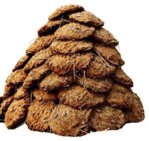 cow dung cake