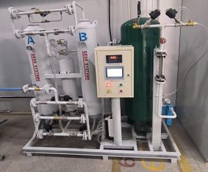 Psa Nitrogen Gas Generators