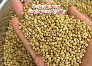 Brown Organic Coriander Seeds, Seed Type : Natural Food Grade