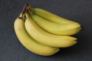 Green Organic Fresh Cavendish Bananas for Human Consumption