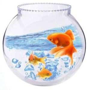 Silver Coated Brass Fish Bowl 10Inch