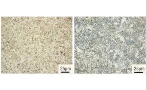 Metallurgical Microstructure Specimen Sets
