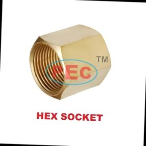 Hex Socket Nut