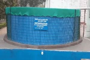 Geo Lined Tanks, Color : Assorted